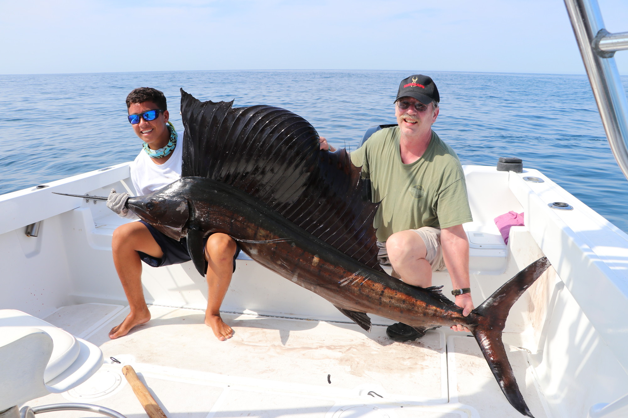 Sailfish Fish Mounts & Replicas by CoasttoCoast Fish Mounts